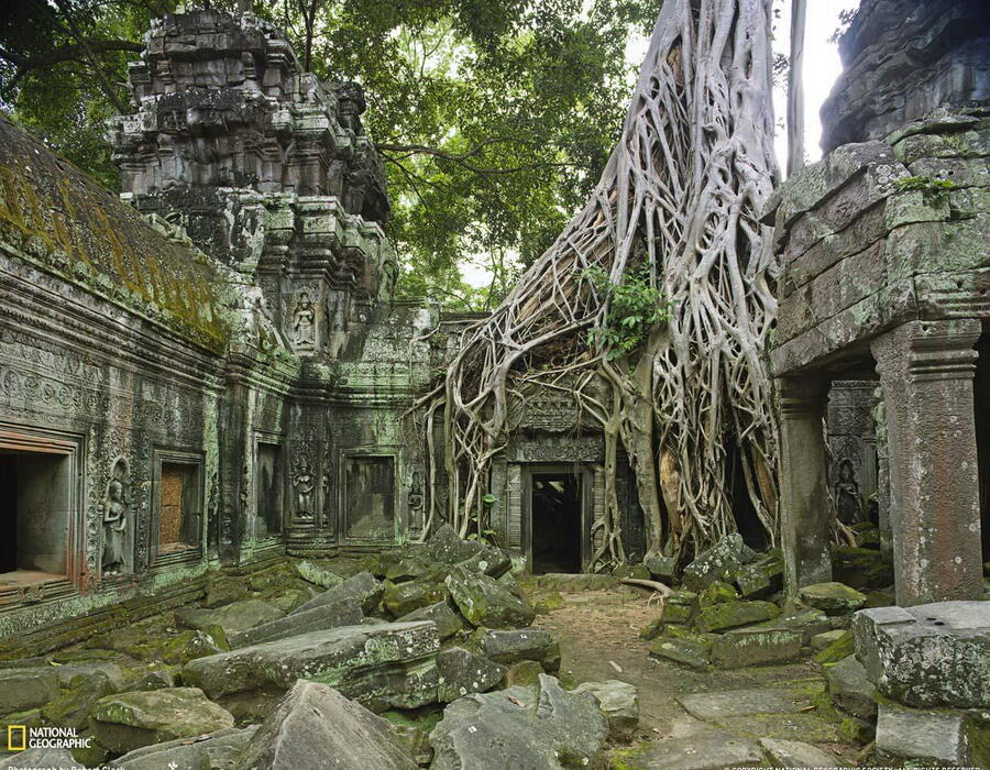 ta-prohm-ruins-062109-xl.jpg