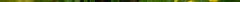 tanacetum_vulgare.jpg