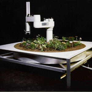telegarden.jpg