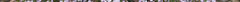 thyme_in_flower_s.jpg