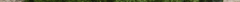 tony2.gif
