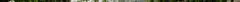 valeriana_officinalis_ssp_officinalis_botka_s1.jpg