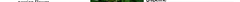 vines-pr.png