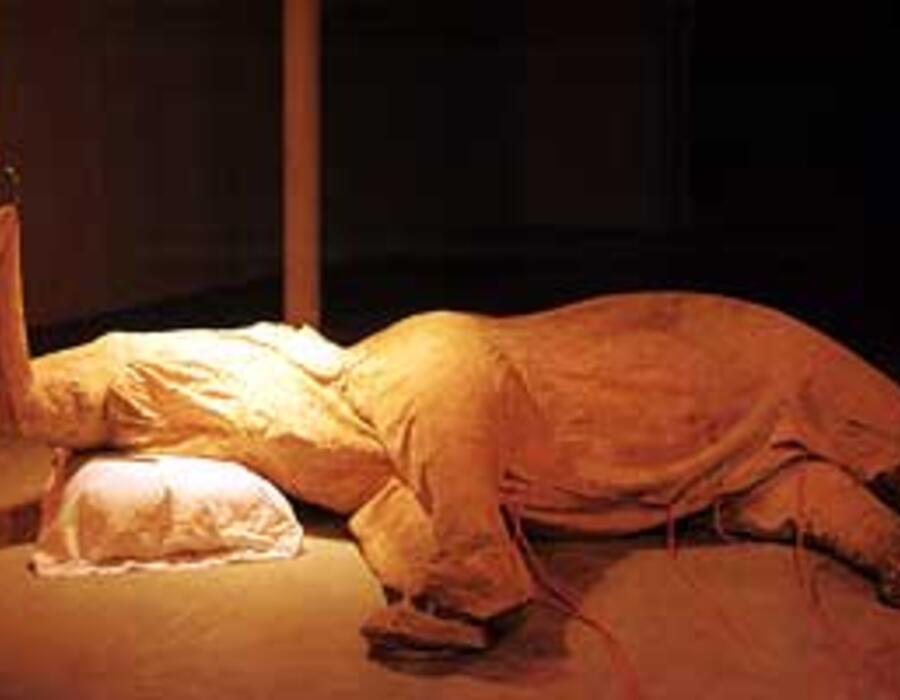 w13_2.jpg