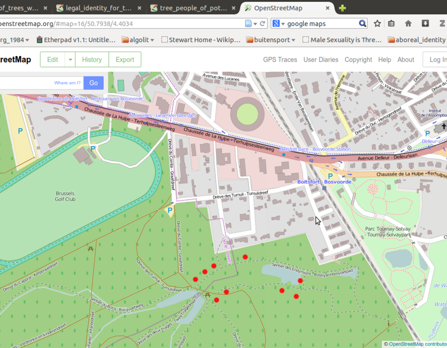 watermaal_bosvoorde_treewalk.png