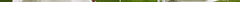 wind_dress.jpg