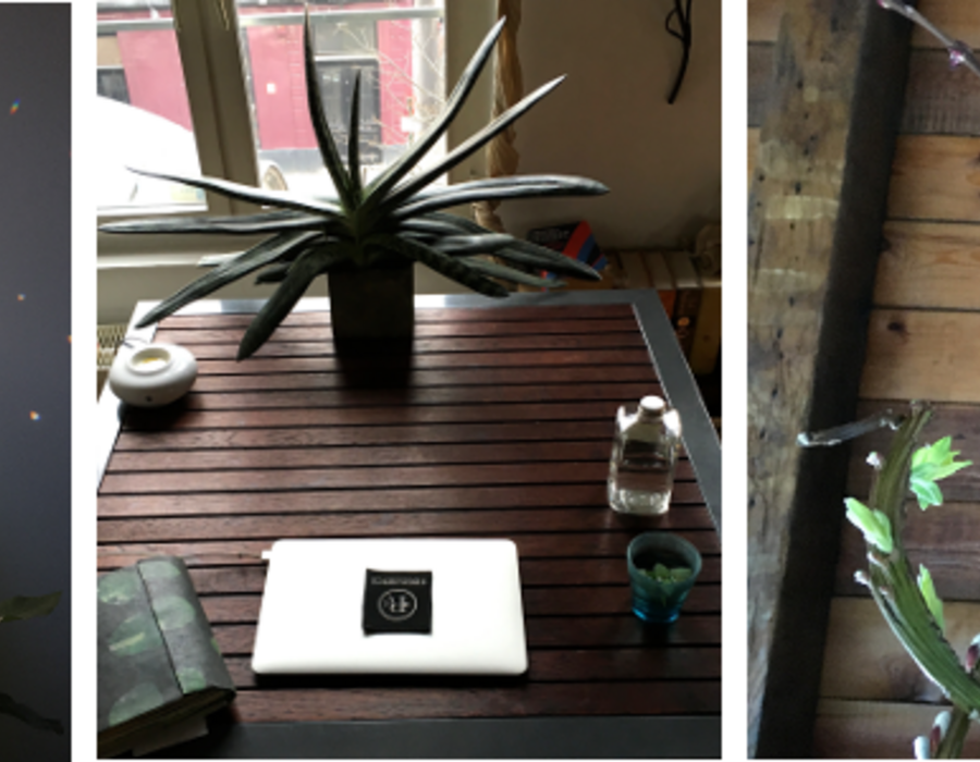 writing-retreat-w1.png