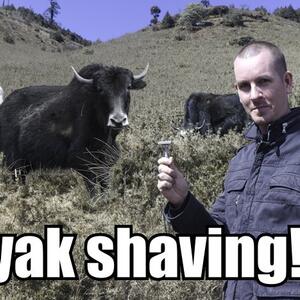 yak-shaving.jpg