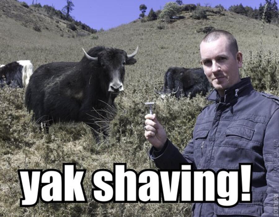 yak-shaving.jpg