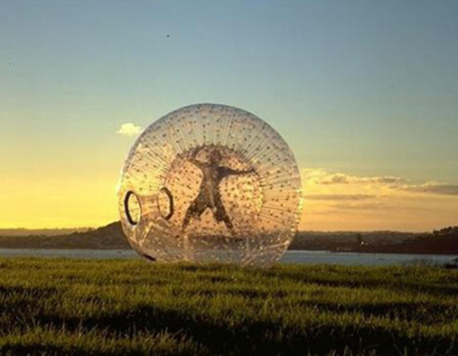 zorb.jpg